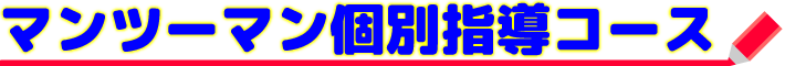 個別指導コース